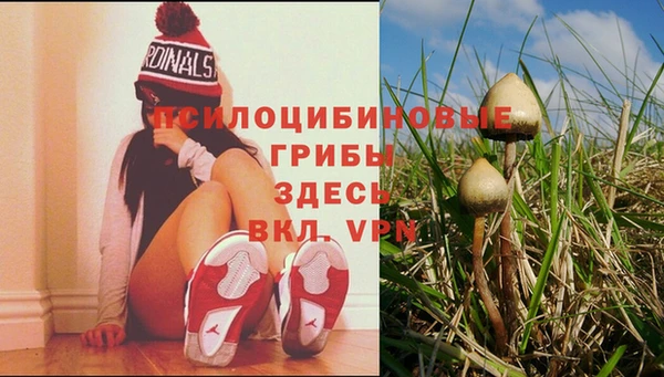 стаф Беломорск