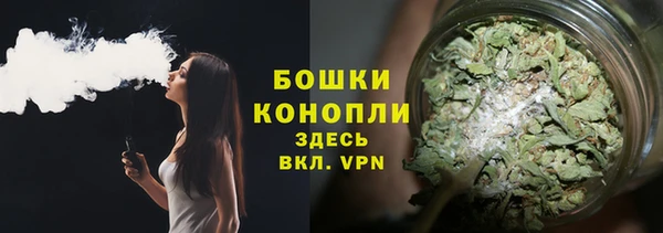 mdpv Богородицк