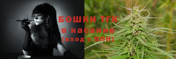 mdpv Богородицк