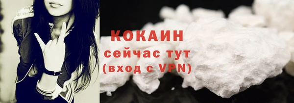 mdpv Богородицк