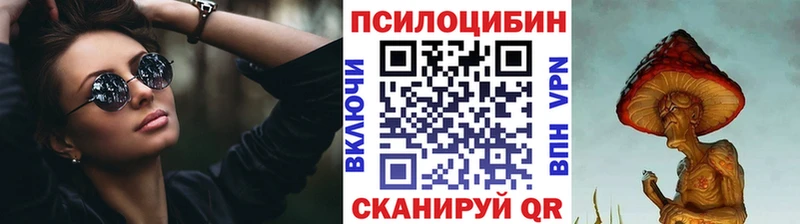 цена наркотик  Богородск  гидра зеркало  Галлюциногенные грибы MAGIC MUSHROOMS 